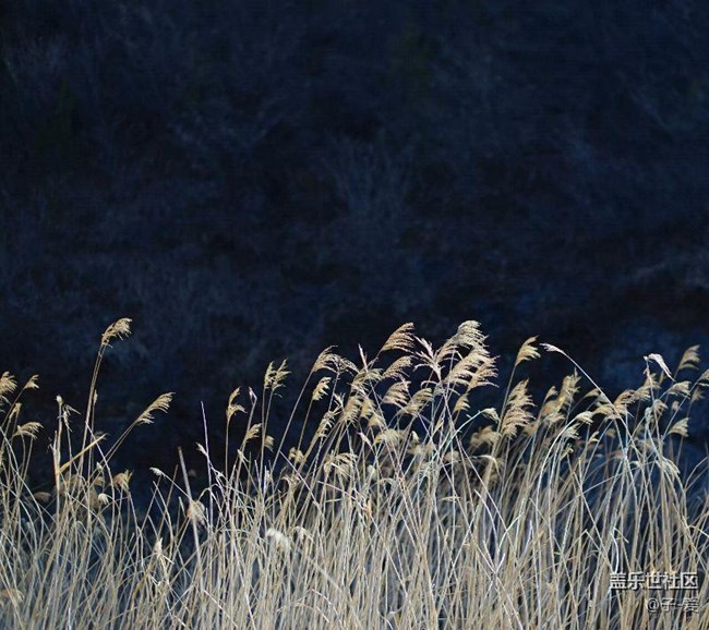 超級(jí)漂亮2k高清壁紙
