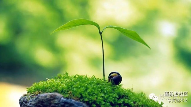 心情隨筆~~隨緣人生