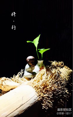 【原創(chuàng)】苦盡甘來(lái)