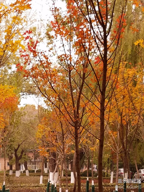 新買(mǎi)的s7 edge隨拍