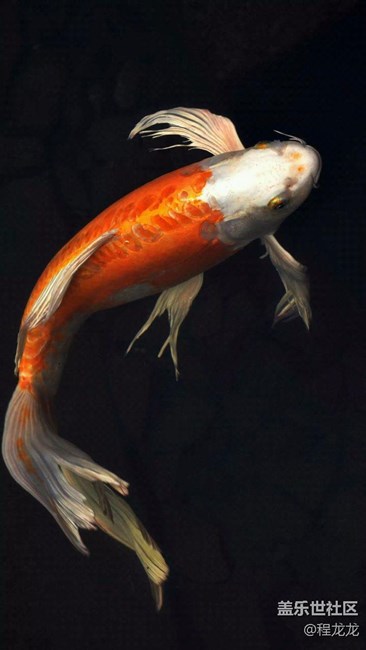 各位大神有自己換電池的嗎？發(fā)個(gè)教程看看唄