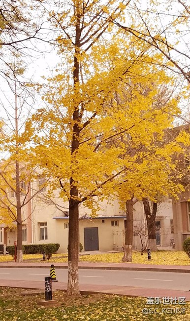 新買(mǎi)的s7 edge隨拍