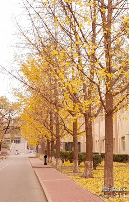 新買(mǎi)的s7 edge隨拍