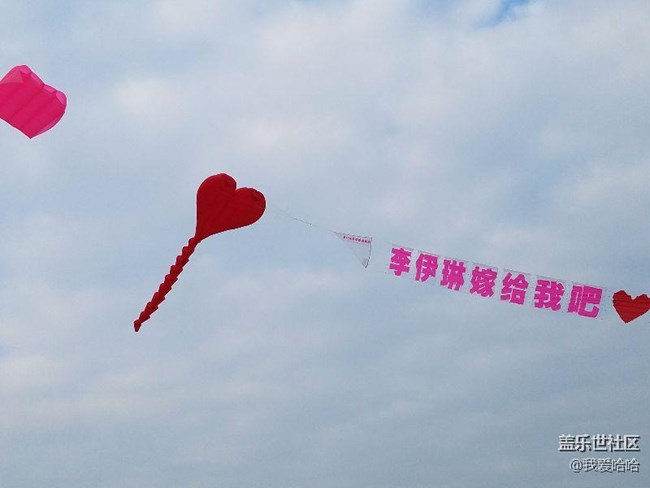 一起來(lái)廈門觀音山看風(fēng)箏吧