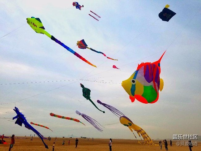 一起來(lái)廈門觀音山看風(fēng)箏吧