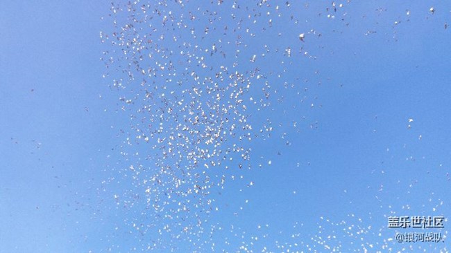 c7拍照評(píng)測(cè)