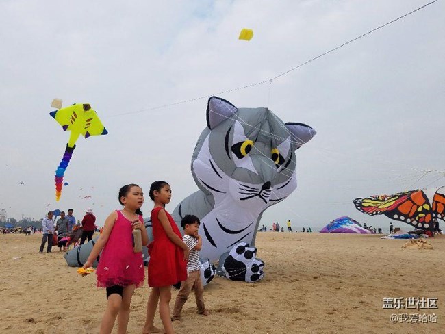 一起來(lái)廈門觀音山看風(fēng)箏吧