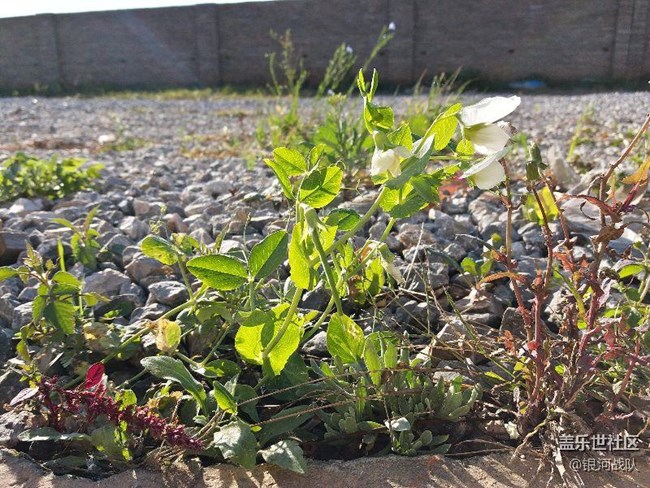 c7拍照評(píng)測(cè)