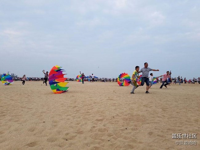 一起來(lái)廈門觀音山看風(fēng)箏吧