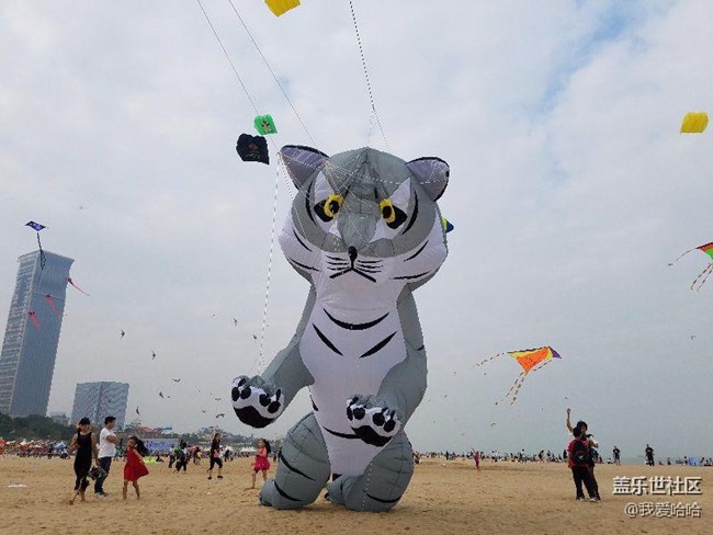 一起來(lái)廈門觀音山看風(fēng)箏吧