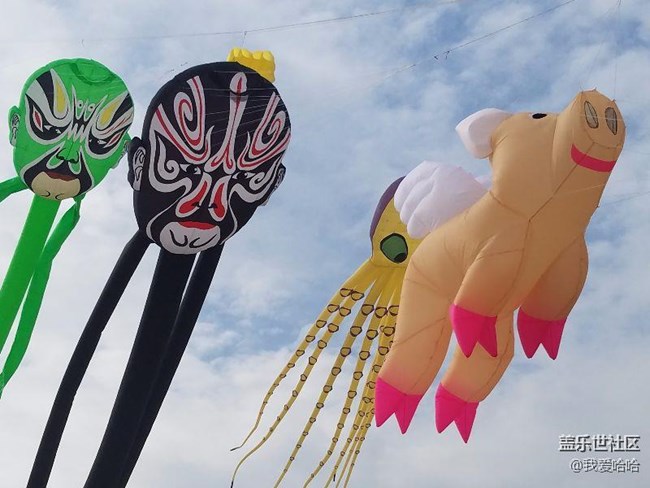 一起來(lái)廈門觀音山看風(fēng)箏吧