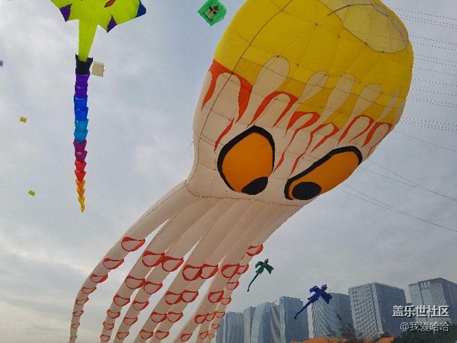 一起來(lái)廈門觀音山看風(fēng)箏吧