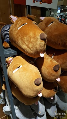 在繁華中尋得那一份寧靜