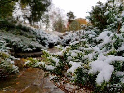 北京初雪現(xiàn)外拍差點沒凍死~團結(jié)湖公園的雪景美cry！~