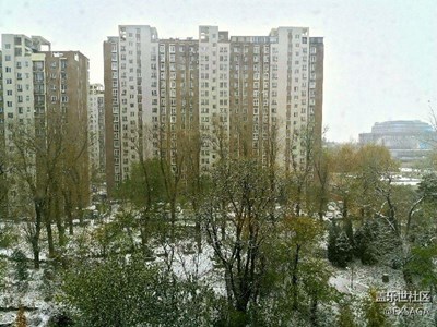 北國風光，千里雪飄