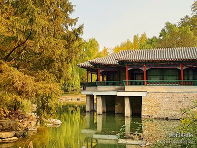 【霜葉紅于二月花】+北京+中山公園銀杏古道，潑金嵌紅的誘惑