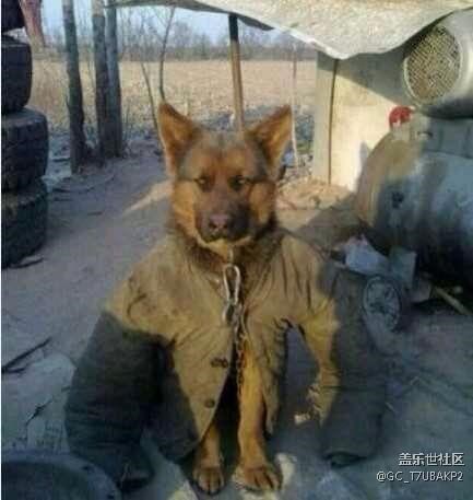 我想知道還有7.0內(nèi)測活動嗎？