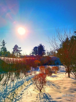 紅妝素裹北國情。