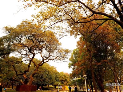 【攝影】帶上S7 edge看武漢東湖的絕美秋色——行吟閣