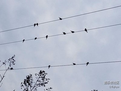 音符、雪花、涌泉