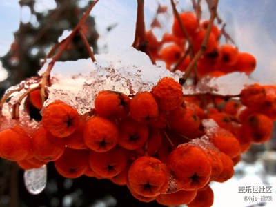 它像那冬天里的一把火