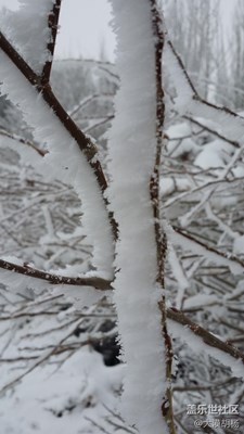 驚天秘密：白娘子今天下凡啦！