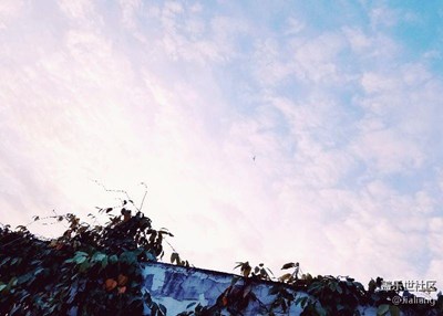 來(lái)一組成都美院教學(xué)樓頂?shù)娘L(fēng)景