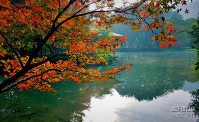 ［霜葉紅于二月花］＋杭州＋紅葉隨秋風(fēng)