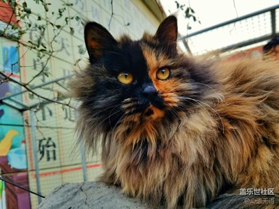 【S7】相看兩不厭