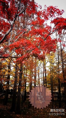 青島八大關(guān)