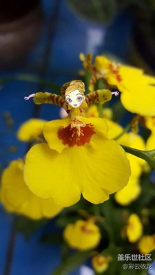 像美麗的少女，翩翩起舞，，，