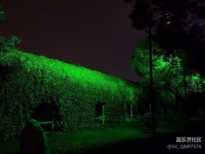 夜是流動(dòng)的一切