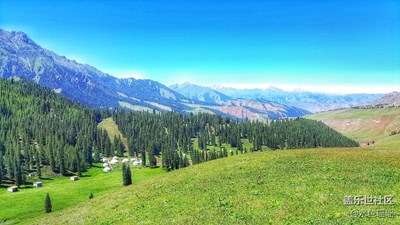 給我的冬天加點綠色