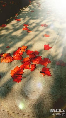 紅葉