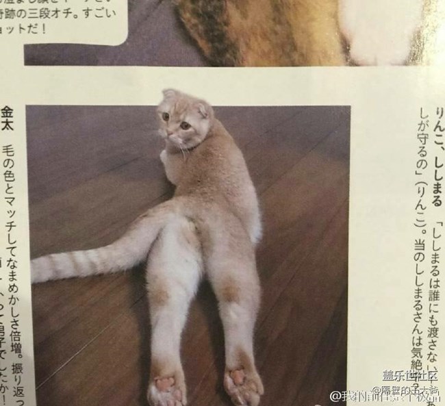 積分換話費(fèi)（一步到位）