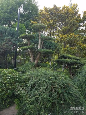 省會(huì)濟(jì)南