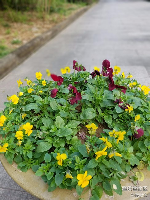 三星note永遠(yuǎn)的經(jīng)典，作為一個(gè)三星粉，請(qǐng)讓我任性一次