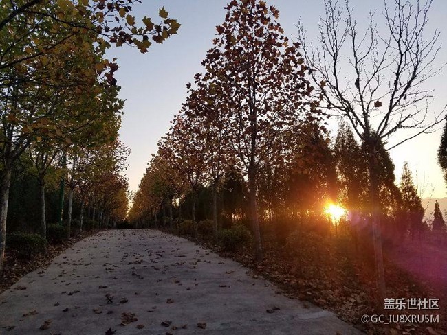 自動(dòng)模式隨便拍拍