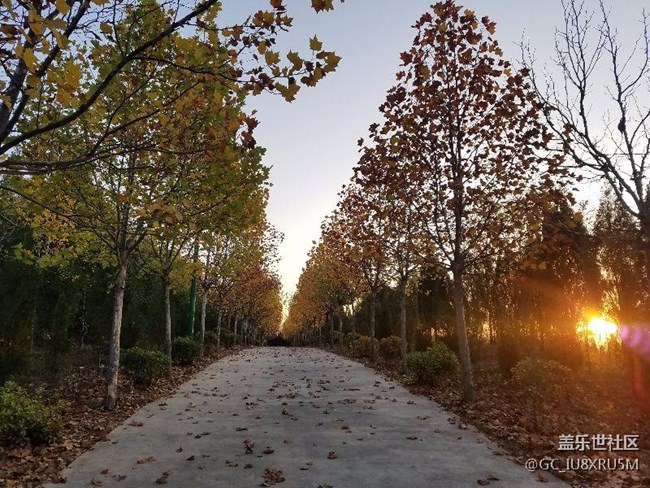 自動(dòng)模式隨便拍拍