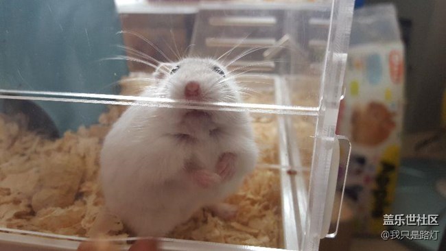 知道這個論壇人氣為什么這么爛嗎？