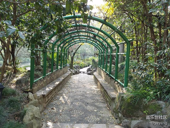 今天在中山公園拍一些照片，還想看看7.0對相機優(yōu)化