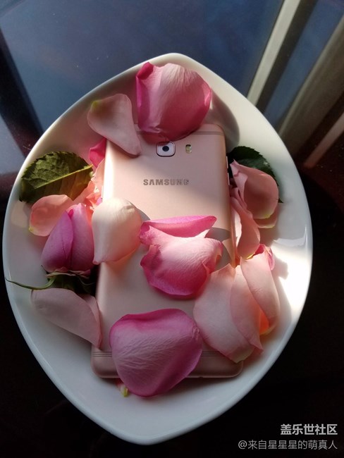 薔薇粉 C9 Pro---紅粉賜瓔珞，落花亦有情