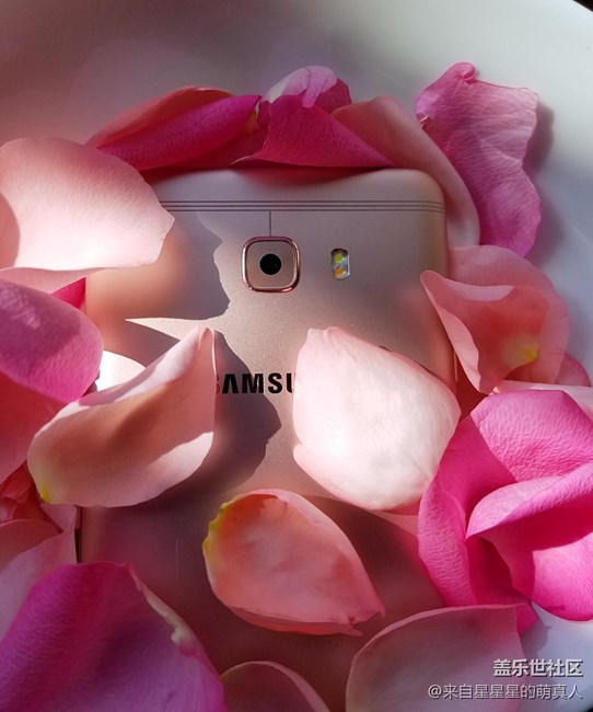 薔薇粉 C9 Pro---紅粉賜瓔珞，落花亦有情