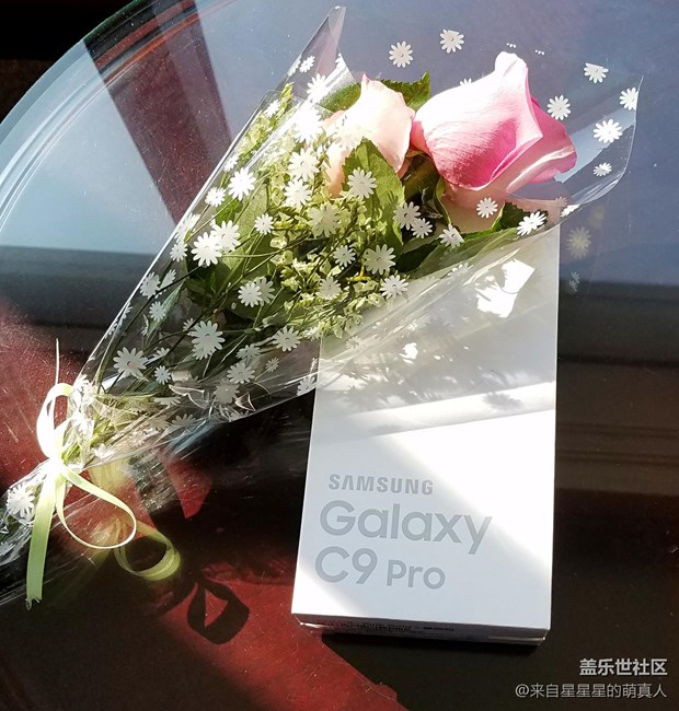 薔薇粉 C9 Pro---紅粉賜瓔珞，落花亦有情