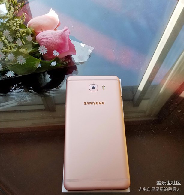 薔薇粉 C9 Pro---紅粉賜瓔珞，落花亦有情