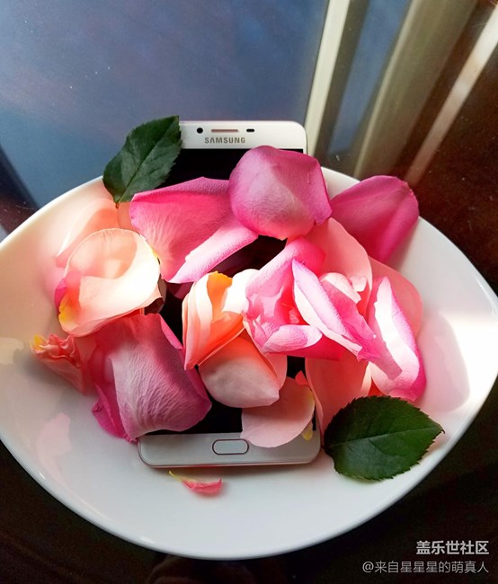 薔薇粉 C9 Pro---紅粉賜瓔珞，落花亦有情