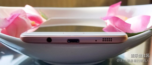 薔薇粉 C9 Pro---紅粉賜瓔珞，落花亦有情