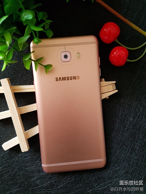 [享樂體驗團]猴賽雷的三星C9 Pro