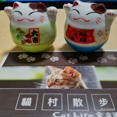 【成長日記】+那些的貓，那些的喵