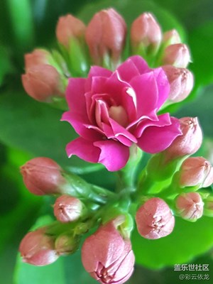 舉世皆濁我獨(dú)清，眾人皆醉我獨(dú)醒。